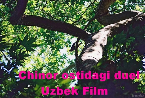 CHINOR OSTIDAGI DUEL(O'zbek Kino)